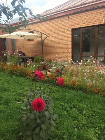 Фотографии Гостевой дом Season Guesthouse г. Степанцминда (Грузия) №1 Фото Гостевой дом Season Guesthouse г. Степанцминда 1