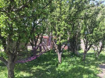 Фото номера Трехместный номер «Комфорт» с душем Гостевой дом Kazbegi Guest House г. Степанцминда 5