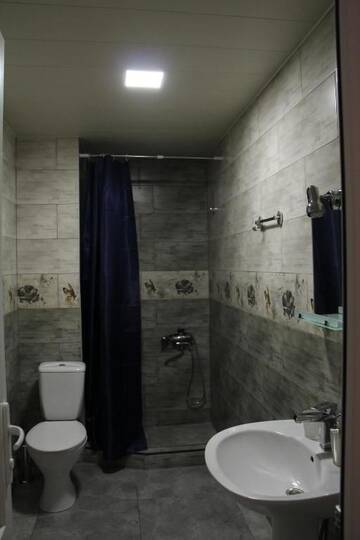 Фото номера Двухместный номер с 1 кроватью и общей ванной комнатой Мини-отель Hotel Elegant г. Степанцминда 5