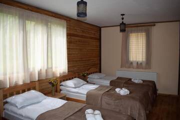 Фото номера Дом для отпуска Дома для отпуска Gergeti Woods г. Степанцминда 19