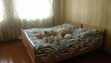 Фото номера Трехместный номер с основными удобствами Гостевой дом Hotel Kazbegi 1 г. Степанцминда 14