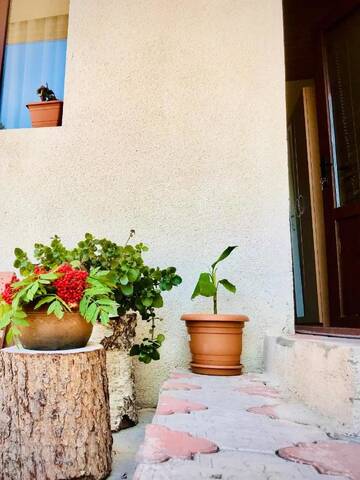 Фото номера Трехместный номер с основными удобствами Гостевой дом Guesthouse Nicolo г. Степанцминда 11