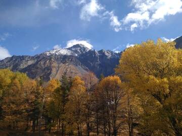 Фото Отель Hotel Gold Kazbegi г. Степанцминда 4
