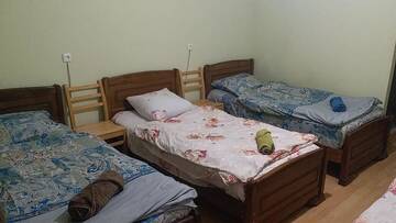 Фото номера Четырехместный номер с ванной комнатой Хостелы LOST INN KAZBEGI г. Степанцминда 16